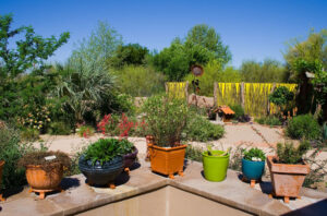 Desert Gardens