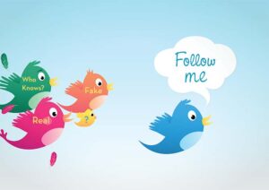 Twitter Bots_Fake Followers