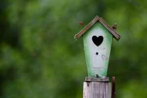 Real Estate Resource Roundup BHGRE