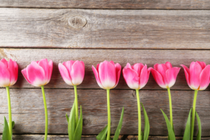 Real Estate Resource Roundup – bhgrealestateblog.com
