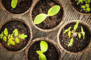 Real Estate Resource Roundup – bhgrealestateblog.com