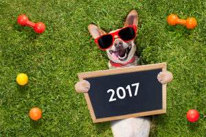 bhgrealestate.com - How to Come Out on Top for Year's End