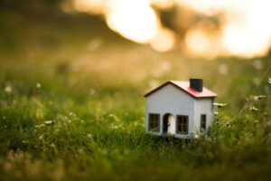Model house in the meadow with grass and daisies in the evening