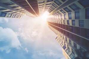 view looking up