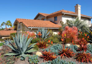 Home with desertic garden