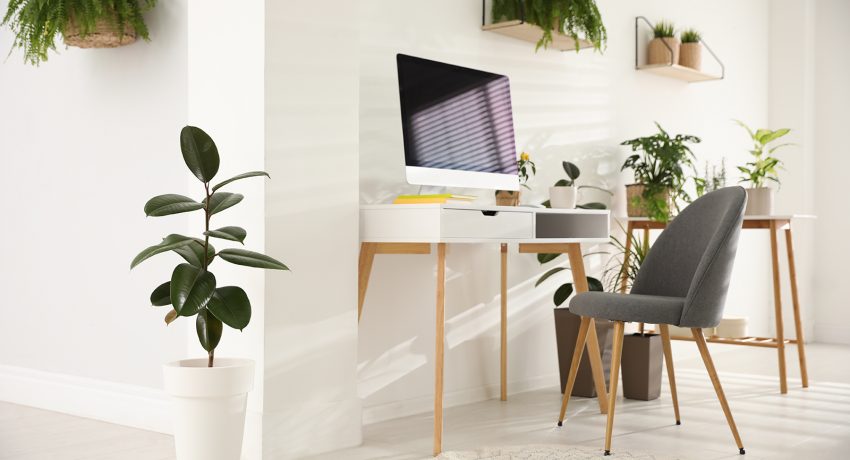 Modern workplace in room decorated with green potted plants.