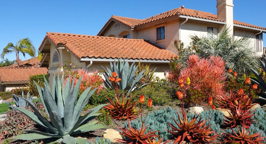Home with desertic garden