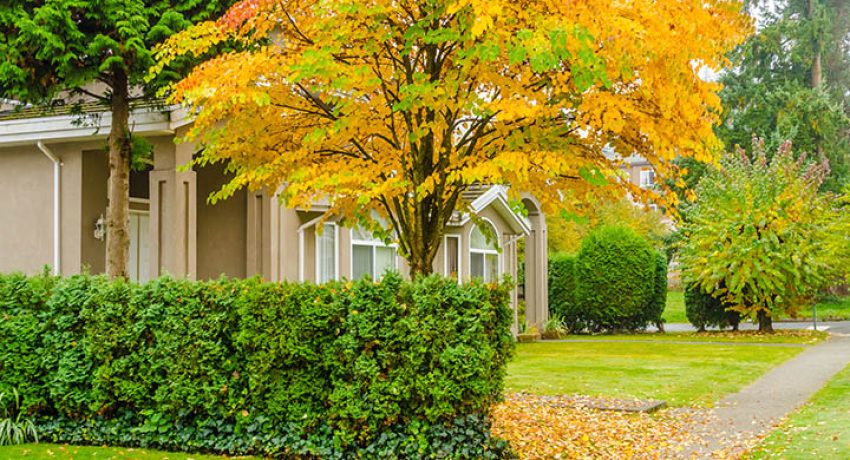 Clean Slate_Real Estate Roundup 1121
