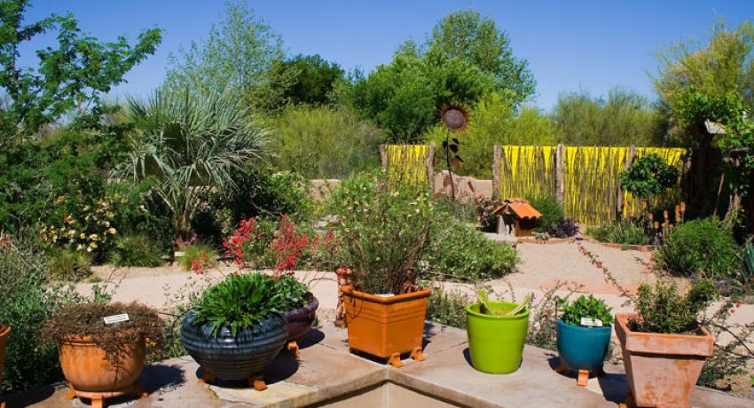 Desert Gardens