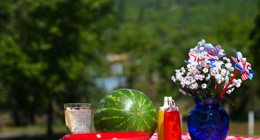 July 4th Picnic