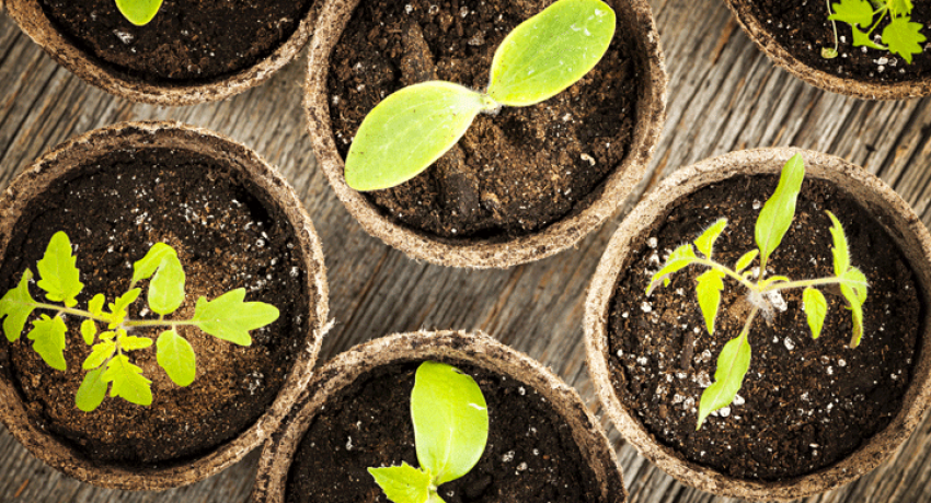 Real Estate Resource Roundup – bhgrealestateblog.com