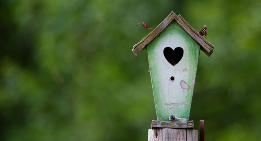 Real Estate Resource Roundup BHGRE