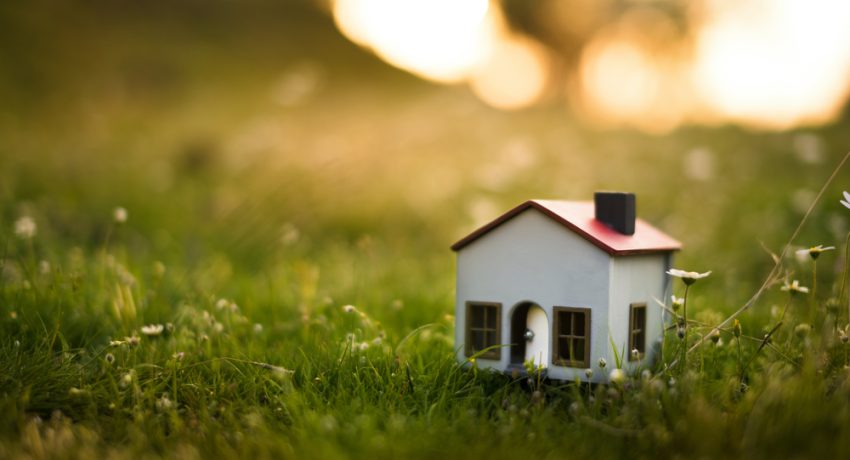 Model house in the meadow with grass and daisies in the evening