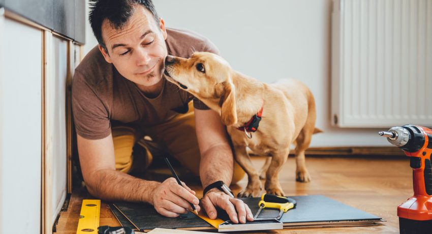 home improvement with puppy