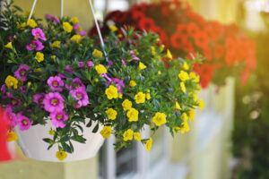 10 Quick Gardening Projects to Improve Curb Appeal
