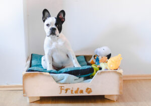 Fun Ways to Attract Pet Lovers to Houses for Sale